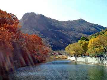 新澳天天开奖资料大全旅游团，赛拉图论坛